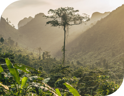 Responsabilidade Ambiental